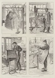 Il sistema della sudorazione